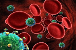 Phát hiện nơi trú ẩn của virus HIV trong tế bào